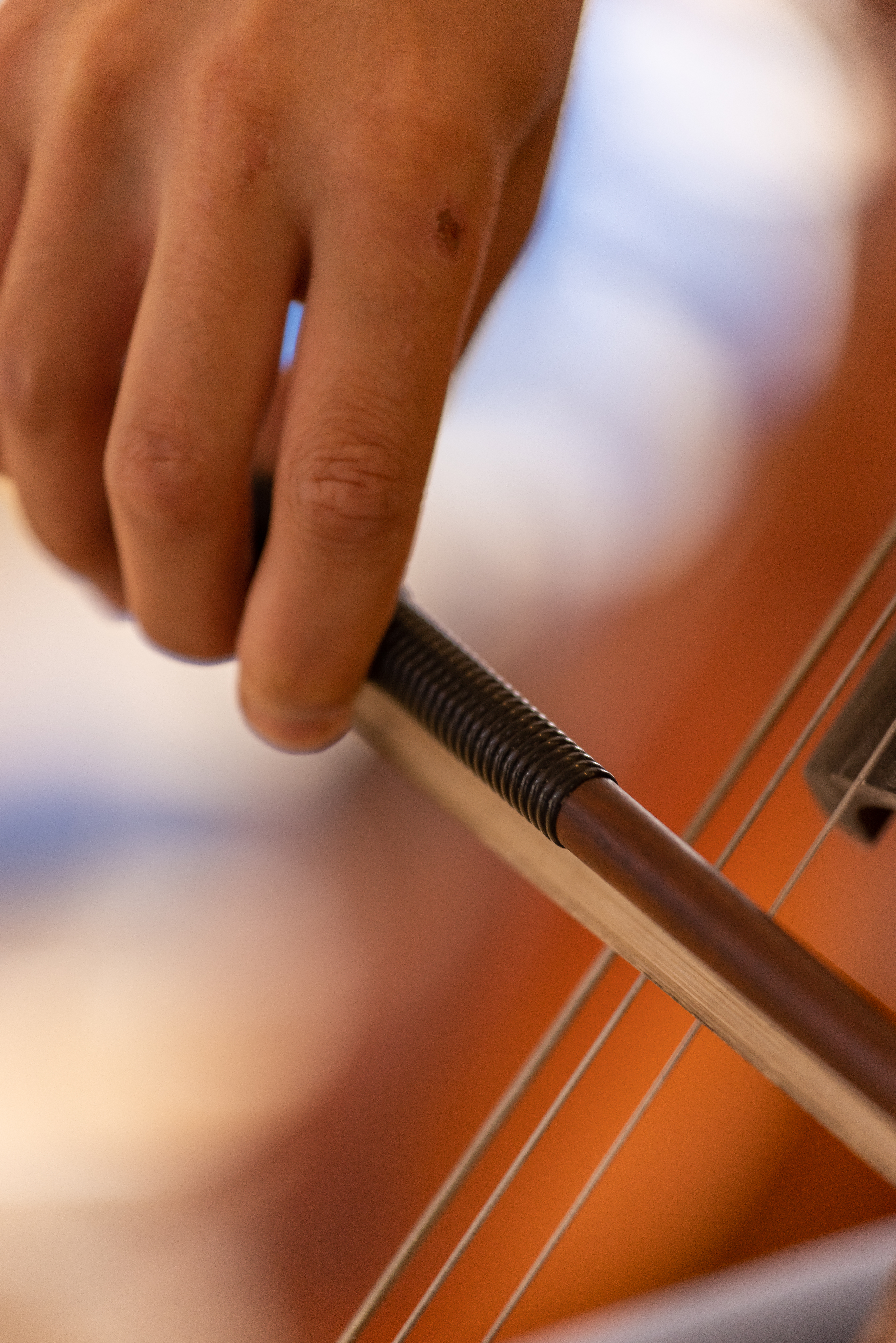 Individual Instrumental Lessons